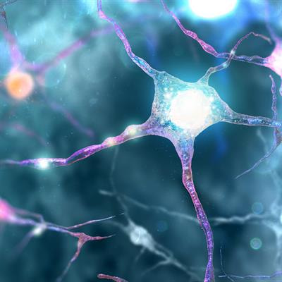 Cover image for research topic "Reviews in Parkinson's Disease and Aging-related Movement Disorders"