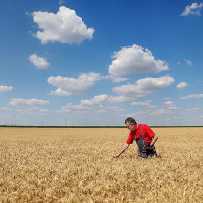 Cover image for research topic "Pest Management by Small-Holder Farmers"