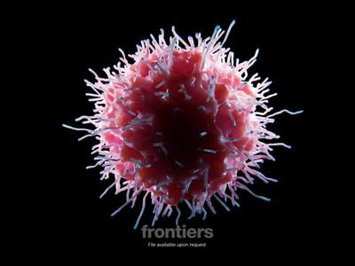 Cover image for research topic "Innate and Adaptive Immune Responses to Viral Infection"