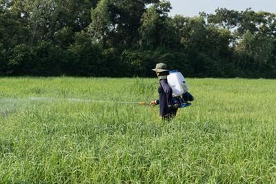Cover image for research topic "The Role of Foliar Nutrition and Biostimulants in Increasing Crop Adaptation to Environmental Stresses"