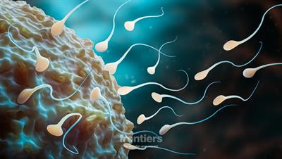Cover image for research topic "Genomic Cell Preservation in Aquatic Animals: With Emphasis on Cryopreservation"