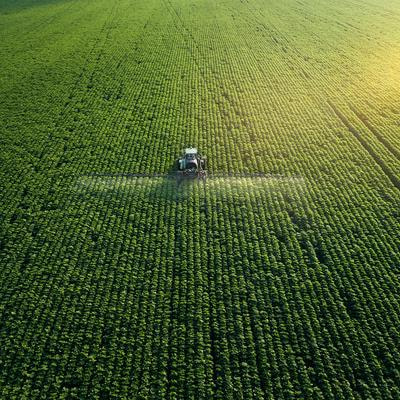 Cover image for research topic "Leveraging Genomics, Phenomics, and Plant Biotechnology Approaches for Improving Abiotic and Biotic Stress Tolerance in Cereals and Legumes"