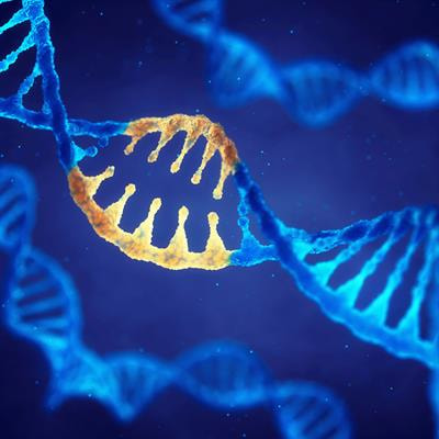 Cover image for research topic "Congenital Craniofacial Deformities: Genetic and Clinical Aspects"