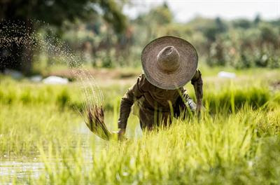 Cover image for research topic "Exploring the Overlooked Nitrogen Transformation Pathways for Nitrogen Loss or Retention From the Soil Scenario: A Contemporary and Holistic Approach Towards Sustainability"