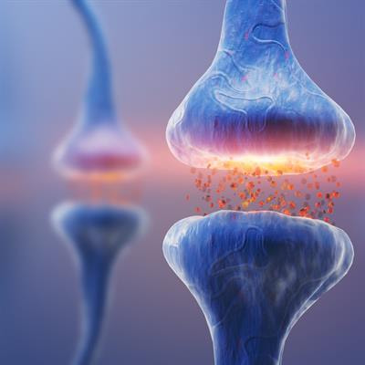 Cover image for research topic "Pathway to recovery: understanding the plastic changes in neural circuits leading to recovery"