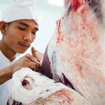 Cover image for research topic "Quality and Nutrition of Meat and Meat Products: Emphasis on Muscle Protein Structure, Activity, Modification, and Functionality"