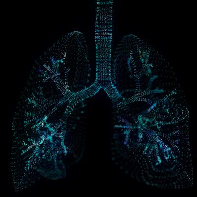 Cover image for research topic "Asbestos and disease genomics: is mesothelioma a genomic paradigm?"