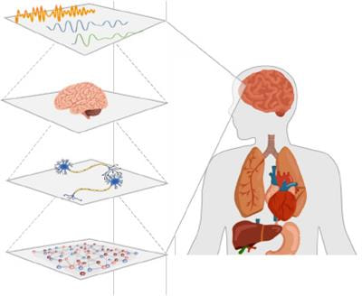 Cover image for research topic "Multimodal Interventions in Alzheimer's Disease: From Basic Research to Clinical Practice"