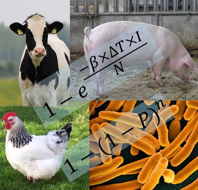 Cover image for research topic "Modeling Disease Spread and Control"