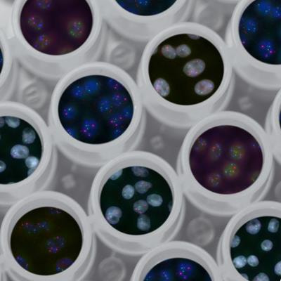 Cover image for research topic "Dissecting Complex Gene Families to Understand Their Roles in Climate-Resilience"