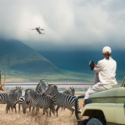 Cover image for research topic "Climate Change, Human-Wildlife Interactions and Sustainable Tourism Nexus in Protected Areas"