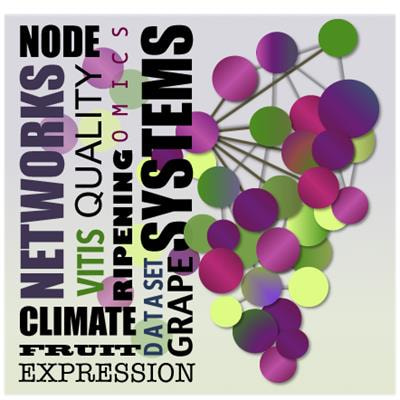 Cover image for research topic "Omics and systems approaches in grapevine fruit composition to understand responses to environmental factors and agronomical practices"