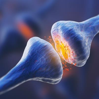 Cover image for research topic "Reviews in the Neuroscience of Orofacial Functions"