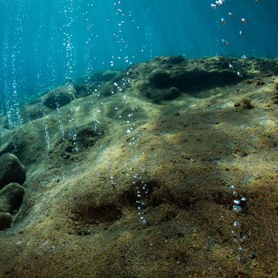 Cover image for research topic "Frontiers in Marine Geomorphometry"