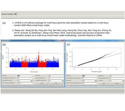 Cover image for research topic "The Applications of New Multi-Locus GWAS Methodologies in the Genetic Dissection of Complex Traits, Volume II"