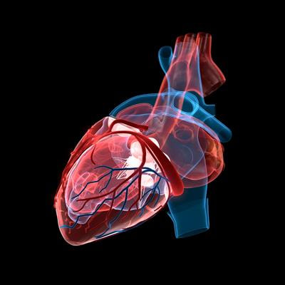 Cover image for research topic "Cardiac Energetic Efficiency and Cardiometabolic Diseases"