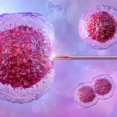 Cover image for research topic "Update on the Great Obstetrical Syndromes and Influence of Assisted Reproductive Techniques on Their Development"