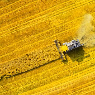 Cover image for research topic "Silicon Cycling in Agricultural Soils under Current Anthropogenic Influences"