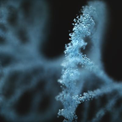 Cover image for research topic "Implementation of Genomic and Epigenomic Innovation in Clinical Cancer Diagnostics"