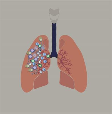 Cover image for research topic "Vaccines, Immunotherapy and New Antifungal Therapy Against Fungi: Updates in the New Frontier"