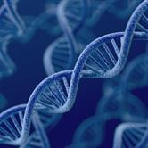 Cover image for research topic "Adoption of Artificial Intelligence in Human and Clinical Genomics, volume II"