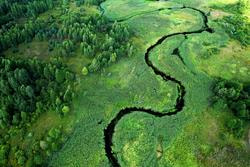 Cover image for research topic "The Impacts of Climate Change and Human Activities on the Structure and Function of Wetland/Grassland Ecosystems"