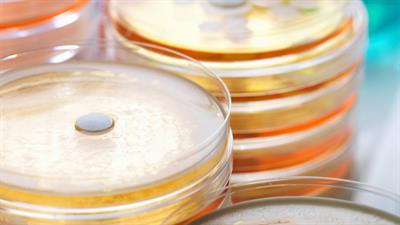 Cover image for research topic "Antibiotic Allergy De-Labelling and Management"