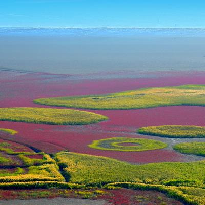 Cover image for research topic "Vegetation, Ecosystem Processing and Carbon Budget of Wetlands Under Global Change, Volume II"