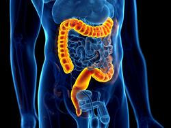 Cover image for research topic "Exploration of Genetic Variation, Drug Response, and Interactions Between Gastrointestinal Disorders and Other Diseases"