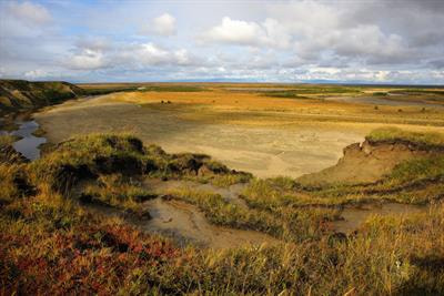 Cover image for research topic "Remote Sensing Advances in Biodiversity and Ecosystem Functioning Research"
