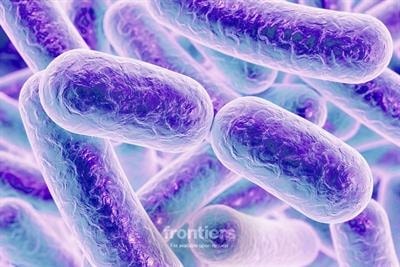 Cover image for research topic "Novel Drug-Designing Approaches to Combat Antimicrobial Resistance"