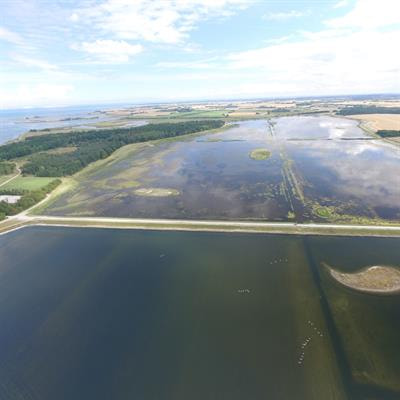 Cover image for research topic "Coastal Rewilding as a Nature-Based Solution"