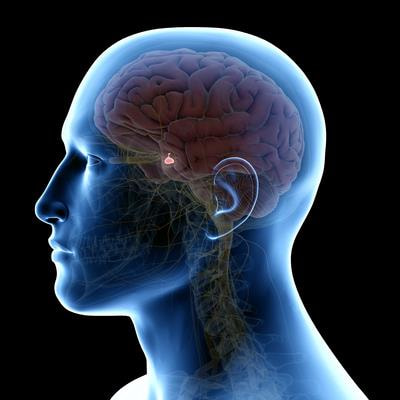 Cover image for research topic "Prognostic Factors in Pituitary Tumors: Clinical, Biochemical, Imaging, and Pathological Aspects"