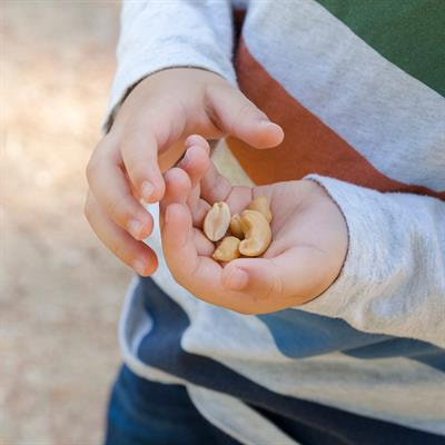 Cover image for research topic "Diet, Food Allergy, and Gut Immunity"