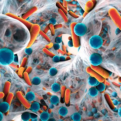 Cover image for research topic "Gut-Lung Axis: Tuberculosis and Drug Resistance"