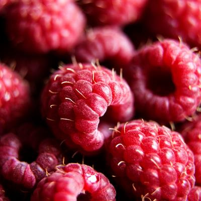 Cover image for research topic "Natural Extracts as Food Ingredients: From Chemistry to Health"
