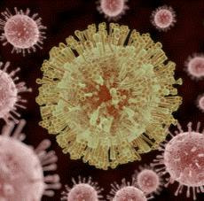 Cover image for research topic "Zika Virus Research"