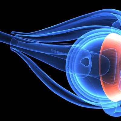 Cover image for research topic "Biomaterials used in tissue engineering for the restoration of ocular disorders"