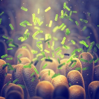 Cover image for research topic "Exploring the roles of probiotics/postbiotics and gut microbiota on human health"