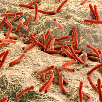 Cover image for research topic "New Insights in Leprosy (Hansen's Disease)"