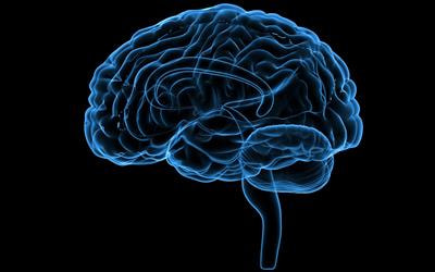 Cover image for research topic "New Approaches in Brain-machine Interfaces with Implants"