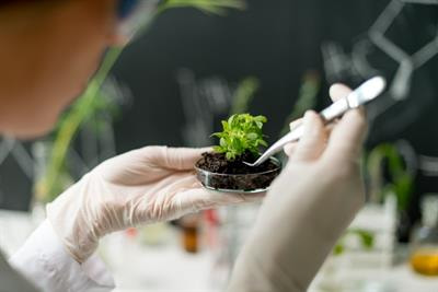 Cover image for research topic "Chemical Diversity of the Specialized Metabolites in Medicinal Plants of Geographical Origins"