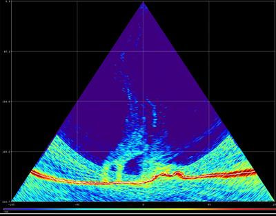 Cover image for research topic "Hydrothermal and Submarine Volcanic Activity: Impacts on Ocean Chemistry and Plankton Dynamics"
