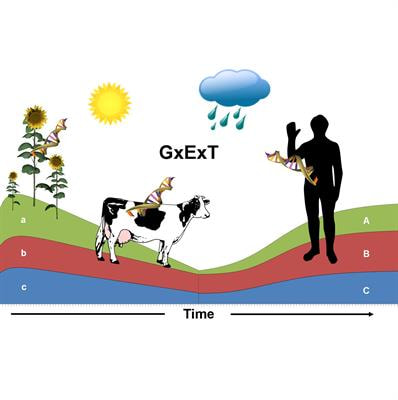 Cover image for research topic "Time- and Environment Dependent Genetic Effects - What Do We Know and What Can We Do"