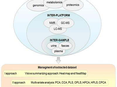 Cover image for research topic "Human gut microbiota: onset and shaping through life stages and perturbations"