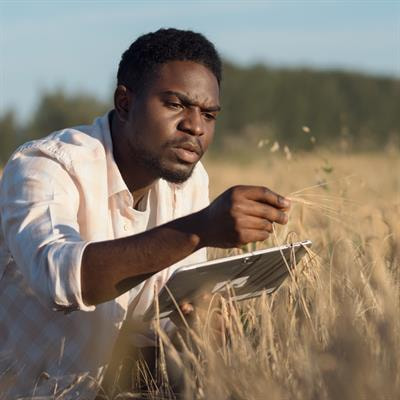 Cover image for research topic "Modelling Approaches for Climate Variability and Change Mitigation and Adaptation in Resource Constrained Farming Systems"