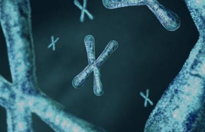 Cover image for research topic "Novel Insights Connecting Telomere Biology to Cancer Development and Progression"