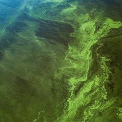 Cover image for research topic "Environmental Citizen Studies in Freshwater Science"
