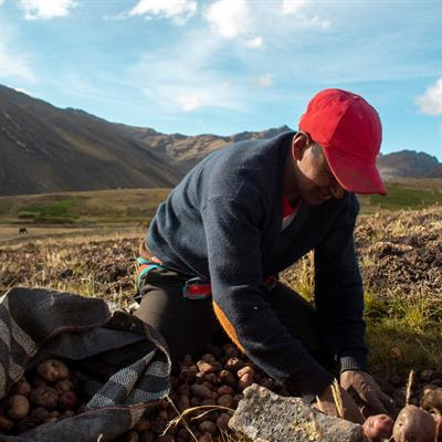 Cover image for research topic "Agrobiodiversity, Community Participation and Landscapes in Agroecology"