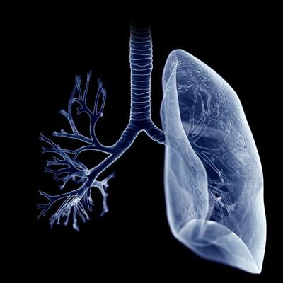 Cover image for research topic "Asthma Control Using Pharmacological and Non-pharmacological Interventions"